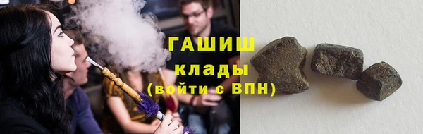 крисы Алзамай