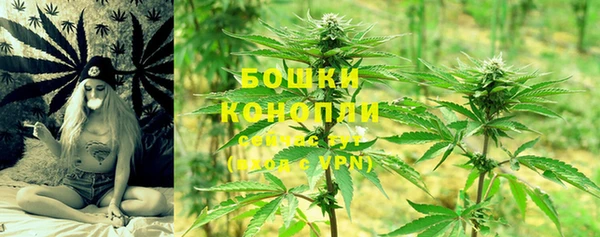 дживик Абаза