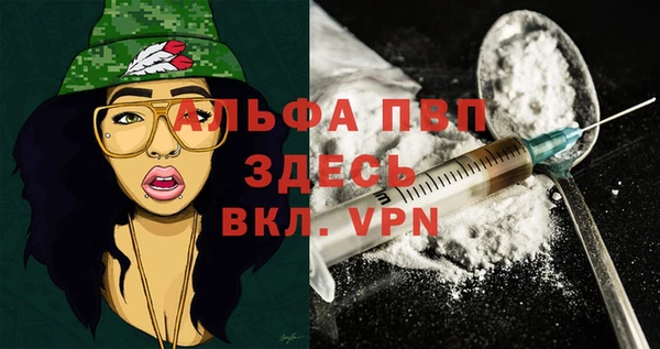 крисы Алзамай