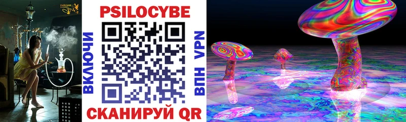 наркошоп  Таштагол  Псилоцибиновые грибы Magic Shrooms 